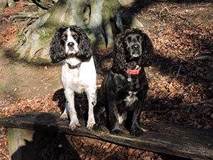 January 2017 Photo 16